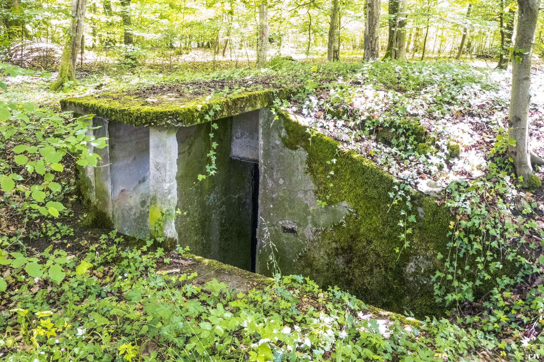 Ligne Maginot - BAMBESCH 3 (6° CIE II/156° RIF) - (PC de Sous-Quartier) - L'entrée - Lia VERMEULEN