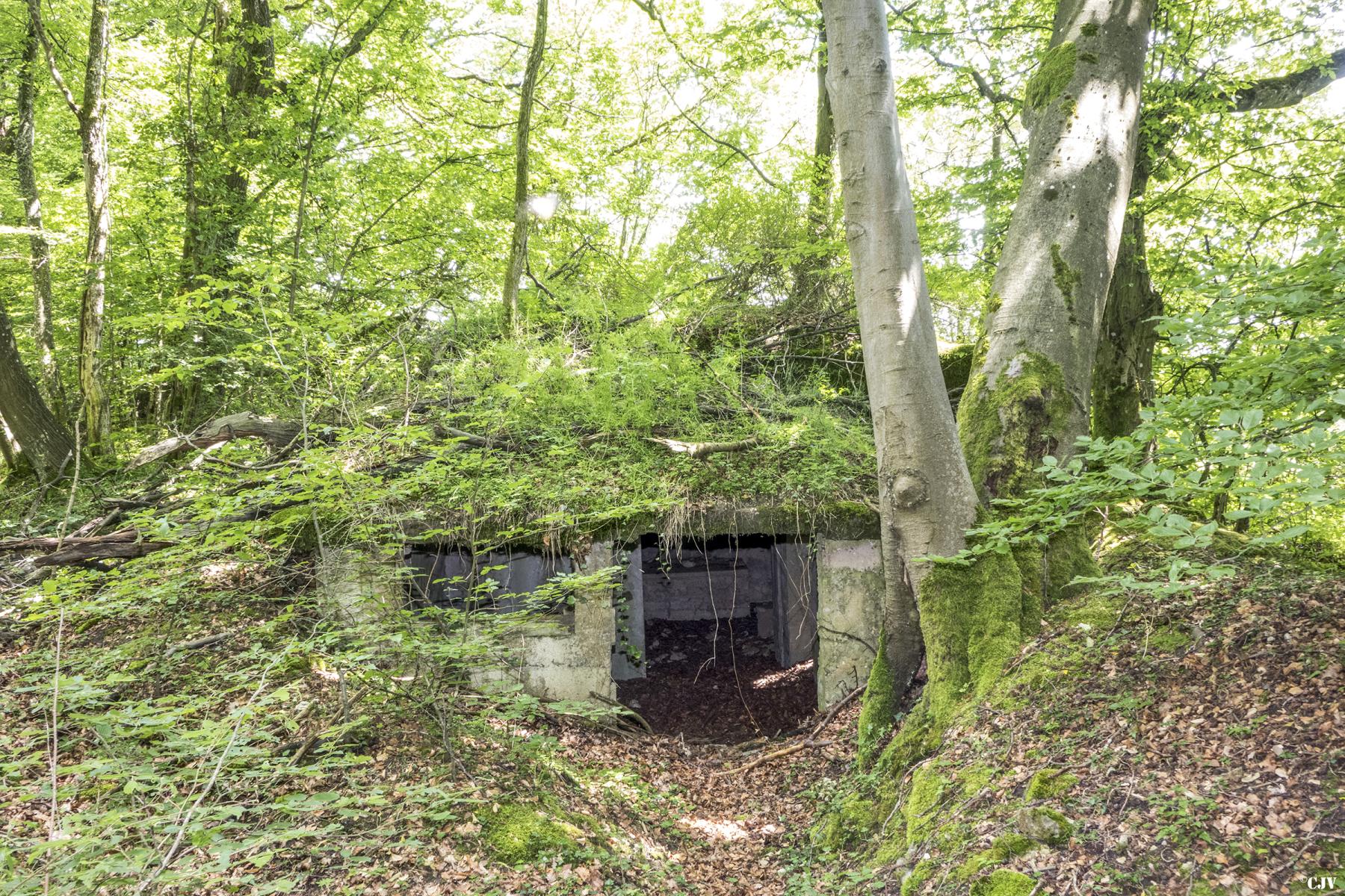 Ligne Maginot - BAMBESCH EST 2 - (Blockhaus pour canon) - 