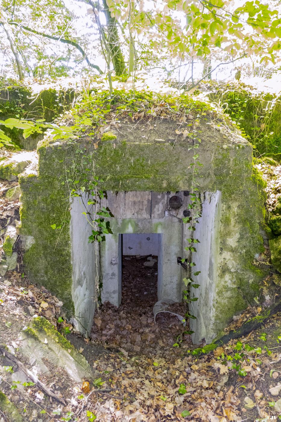 Ligne Maginot - BAMBESCH SUD 2 - (Blockhaus pour arme infanterie) -  - Lia VERMEULEN
