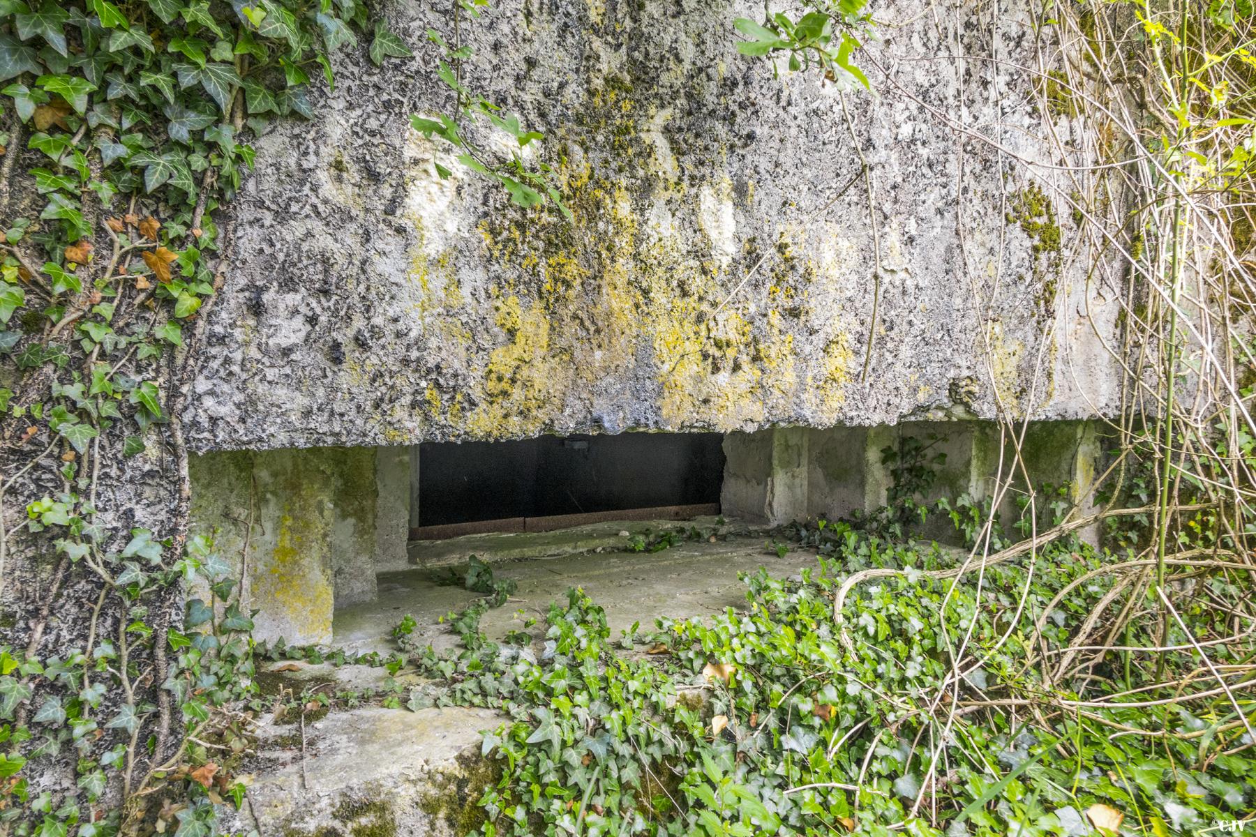 Ligne Maginot - BAMBESCH SUD 4 - (Blockhaus pour canon) -  - Lia VERMEULEN