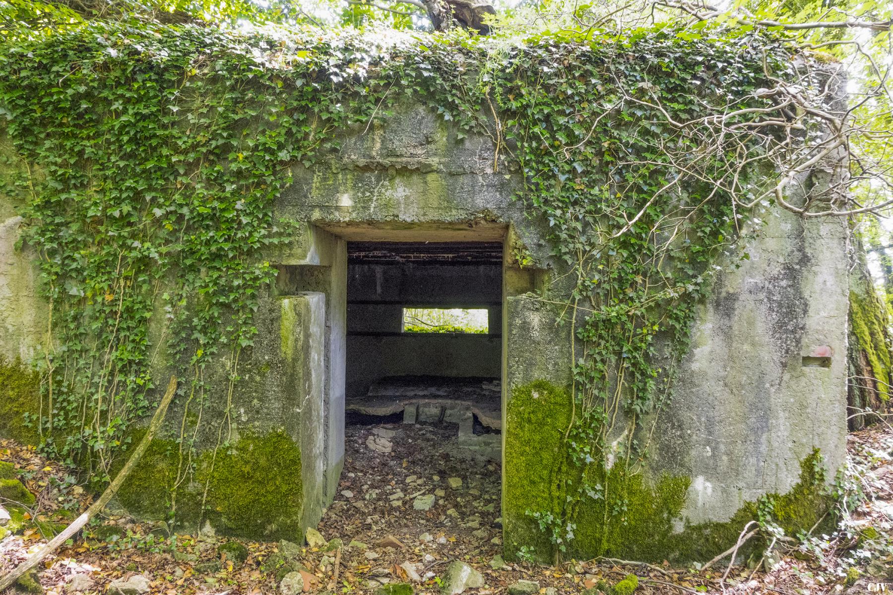 Ligne Maginot - BAMBESCH SUD 4 - (Blockhaus pour canon) -  - Lia VERMEULEN