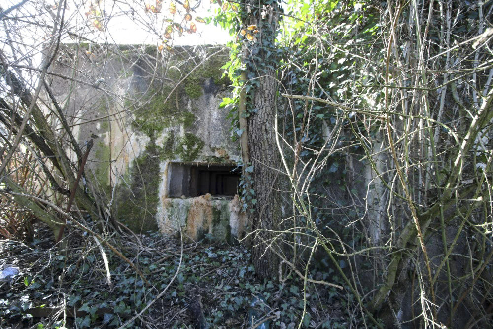 Ligne Maginot - BAMBIDERSTROFF OUEST 2 - (Blockhaus pour arme infanterie) -    - Alain Perouffe