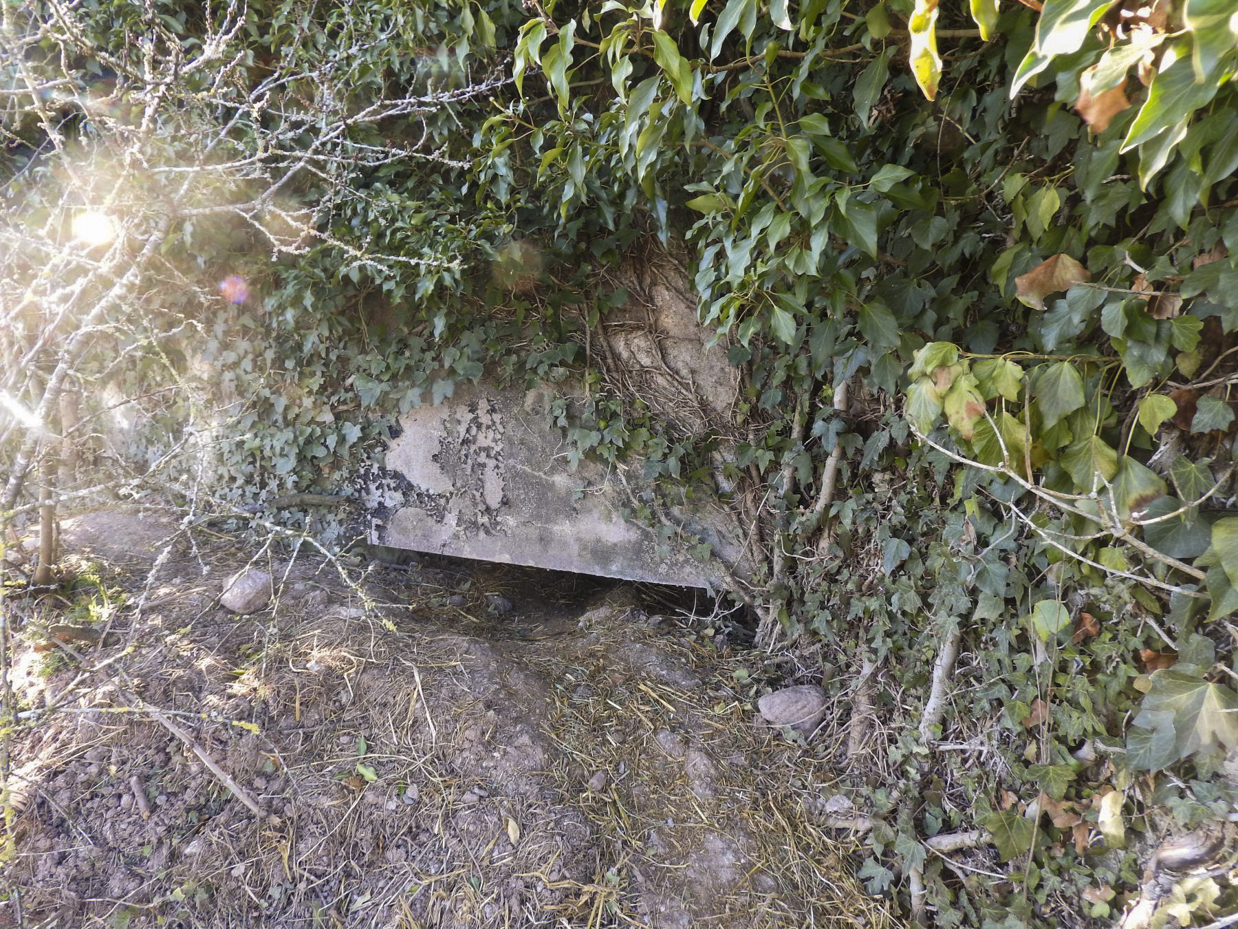 Ligne Maginot - MOULIN BAS SUD - (Blockhaus pour canon) - Le créneau de tir. - STENGER Mathieu