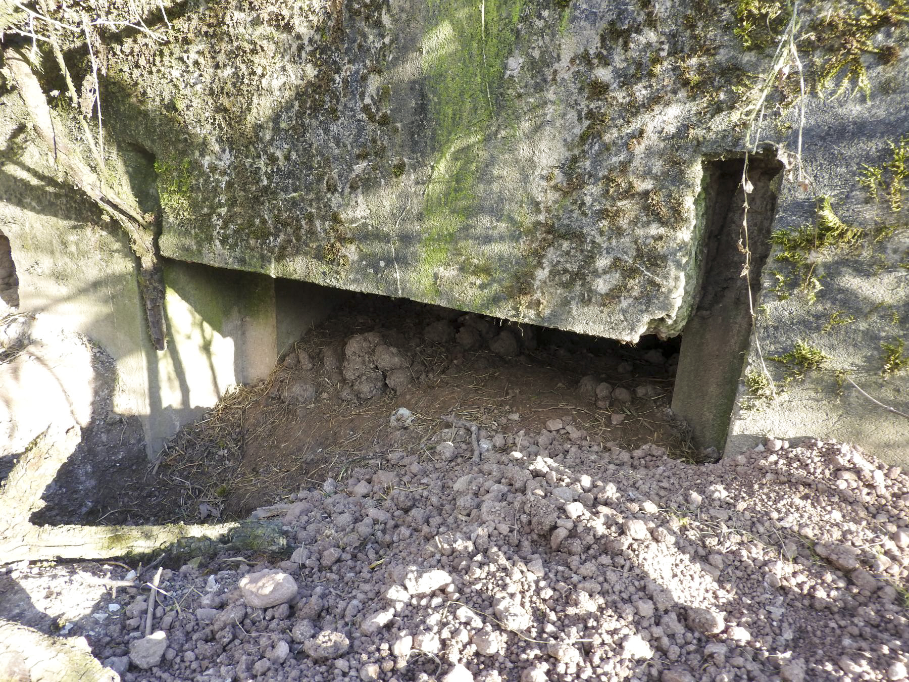 Ligne Maginot - MOULIN BAS SUD - (Blockhaus pour canon) - L'entrée arrière du blockhaus. - STENGER Mathieu