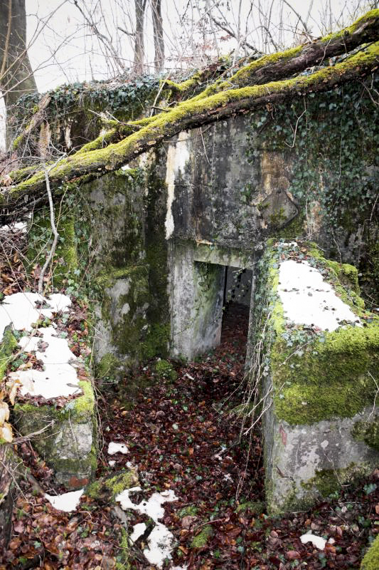 Ligne Maginot - BOIS DE KERFENT NORD 2 - (Blockhaus pour arme infanterie) - L'entrée