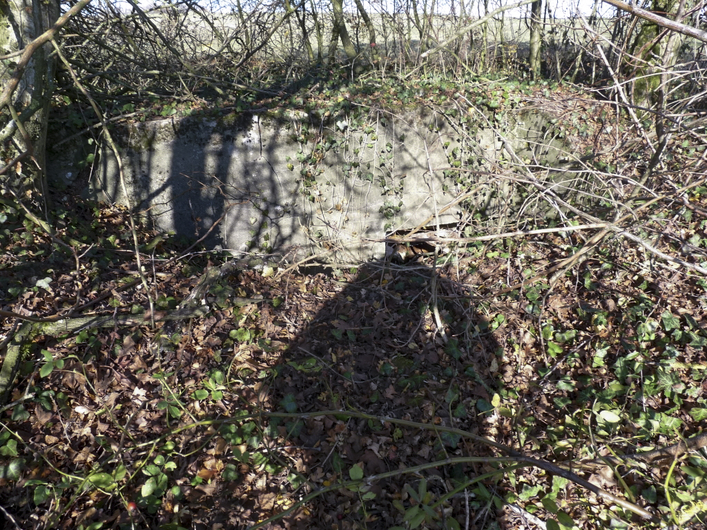 Ligne Maginot - FERME BRANDSTUDEN - (PC de Sous-Quartier) - Totalement embroussaillé - Sylvie Laure LAMBERT