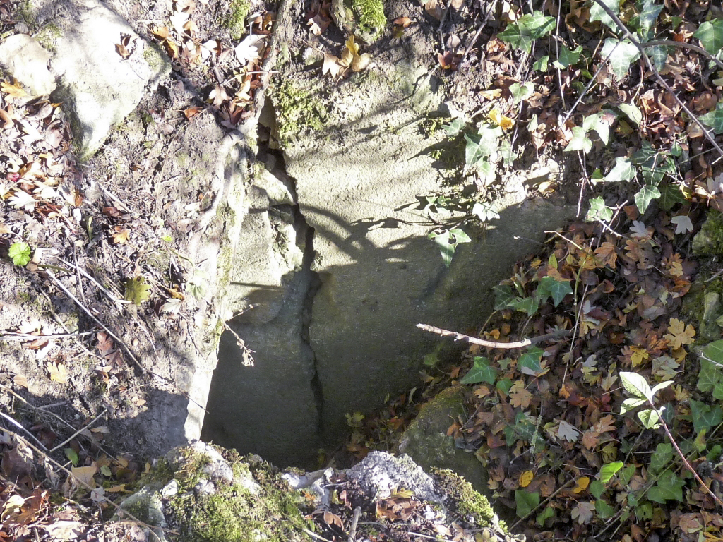 Ligne Maginot - FERME BRANDSTUDEN - (PC de Sous-Quartier) - Totalement embroussaillé - Sylvie Laure LAMBERT