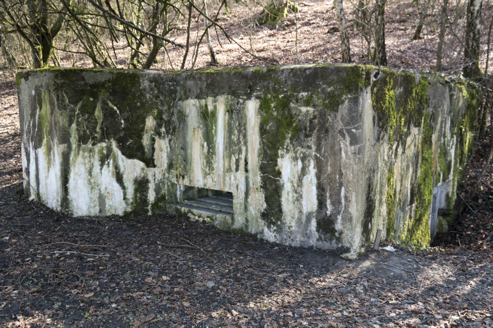 Ligne Maginot - GRAIBFELD  CENTRE - (Blockhaus pour arme infanterie) -       