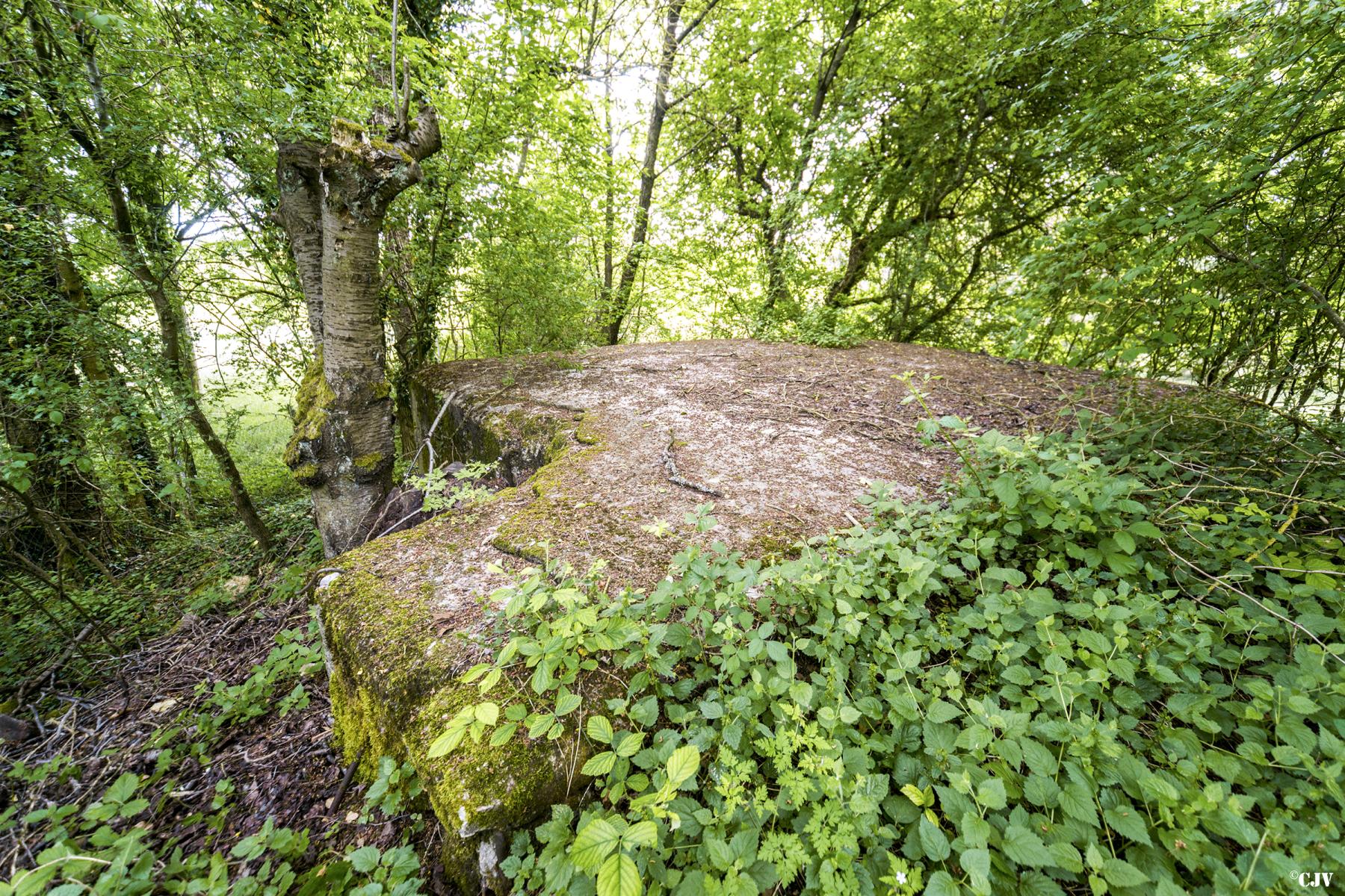 Ligne Maginot - GROSSEN FELD CENTRE - (Blockhaus de type indéterminé) - 