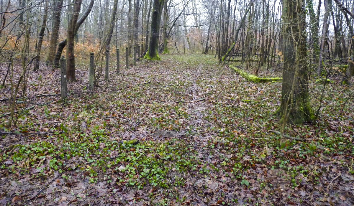 Ligne Maginot - KERFENT - (Casernement) - Clôture entourant le casernement