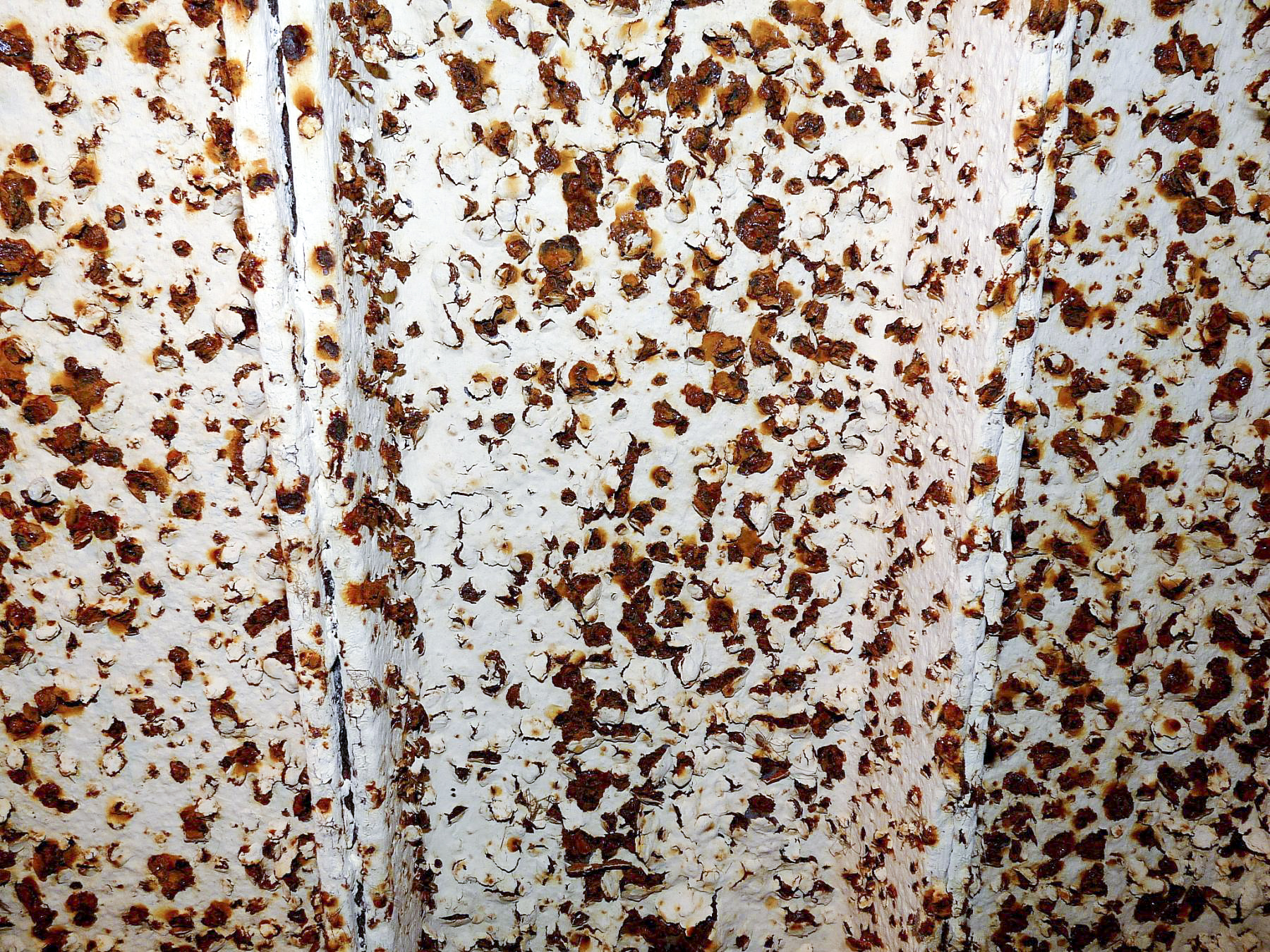 Ligne Maginot - KNAPPENFELD (3° GRPE 163°RAP) - (PC de Quartier) -  - Sylvie Laure LAMBERT