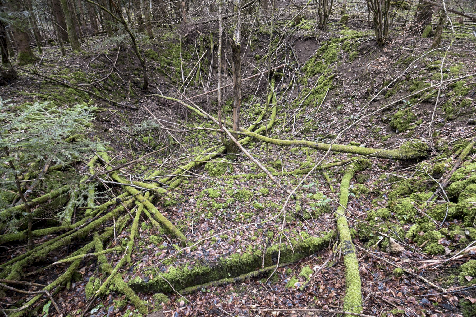 Ligne Maginot - BIRGMATTEN - (Abri) - Début fondation - Ludovic KNAPP