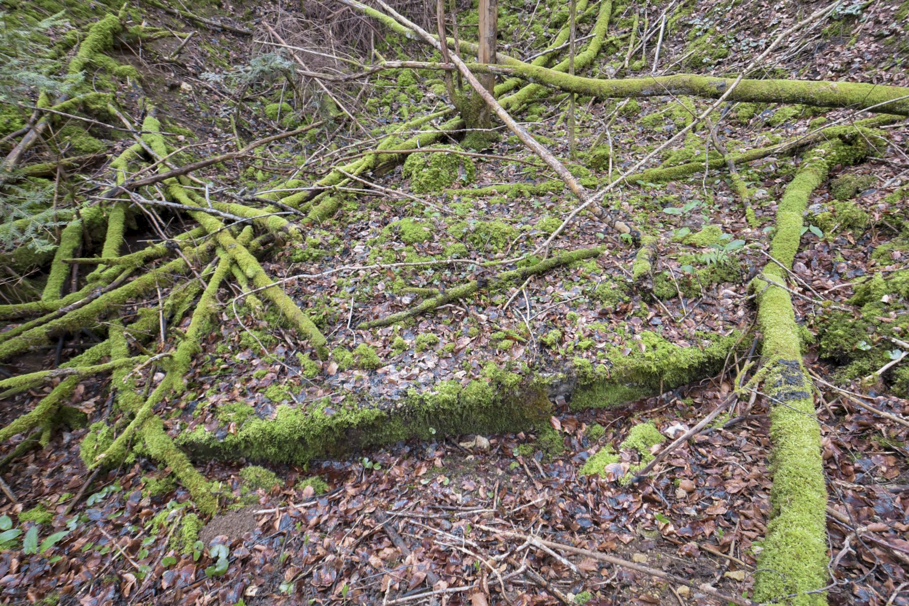 Ligne Maginot - BIRGMATTEN - (Abri) - Début fondation - Ludovic KNAPP