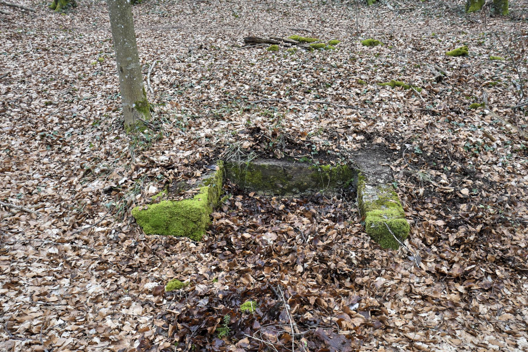 Ligne Maginot - GLASERBERG - FONTAINE - (Divers) - Peut-être une deuxième fontaine - Ludovic KNAPP