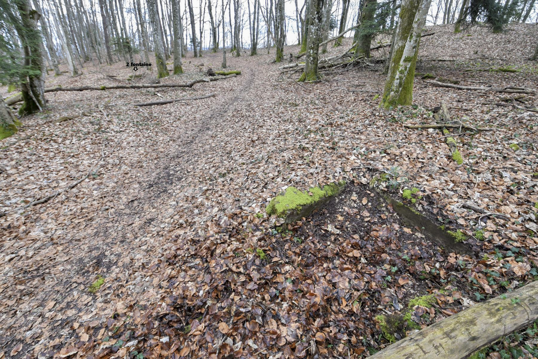 Ligne Maginot - GLASERBERG - FONTAINE - (Divers) - Peut-être une deuxième fontaine - Ludovic KNAPP