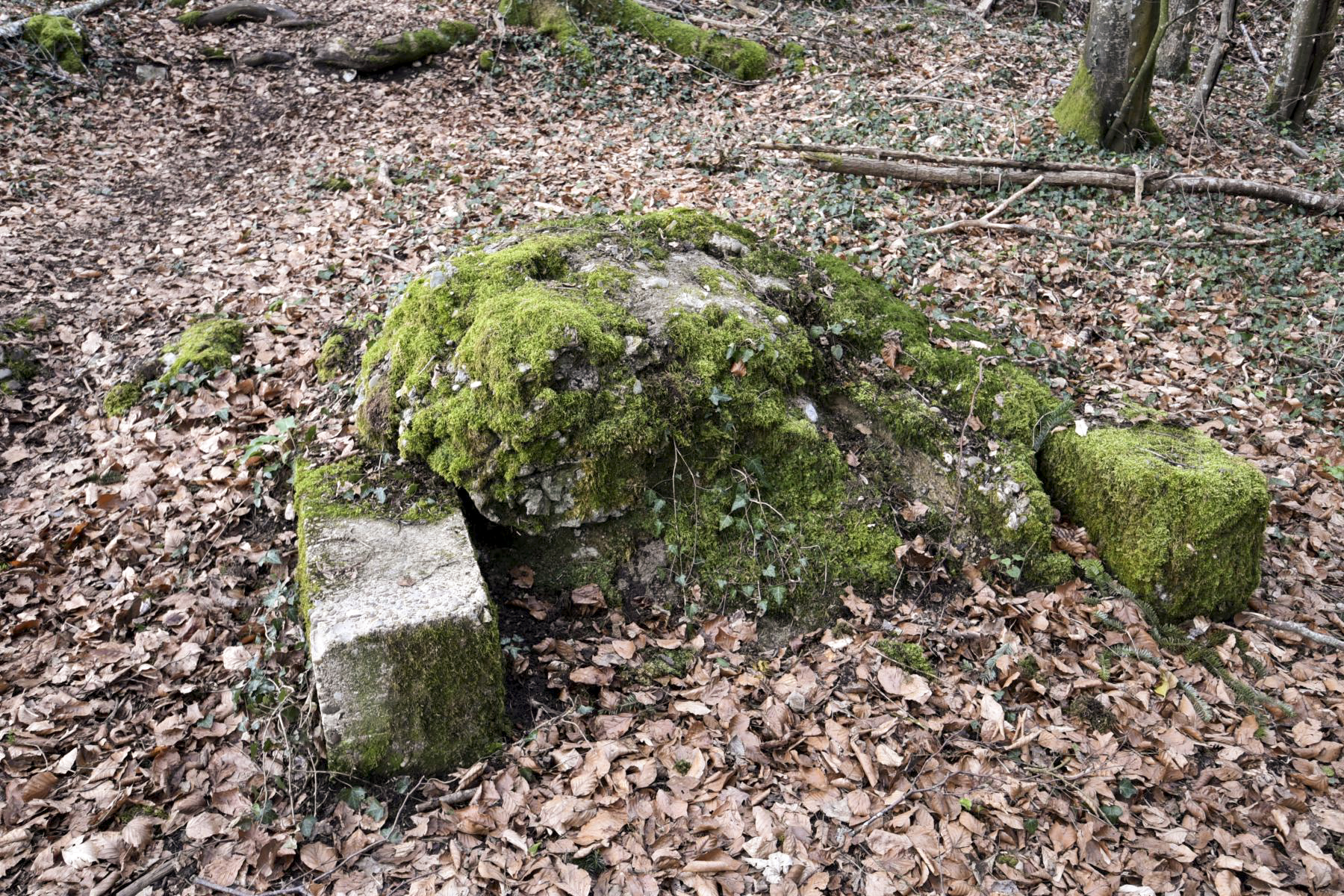 Ligne Maginot - BLOCHMONT EST - (Blockhaus pour arme infanterie) - Une petite structure en béton a proximité du blockhaus - Ludovic KNAPP