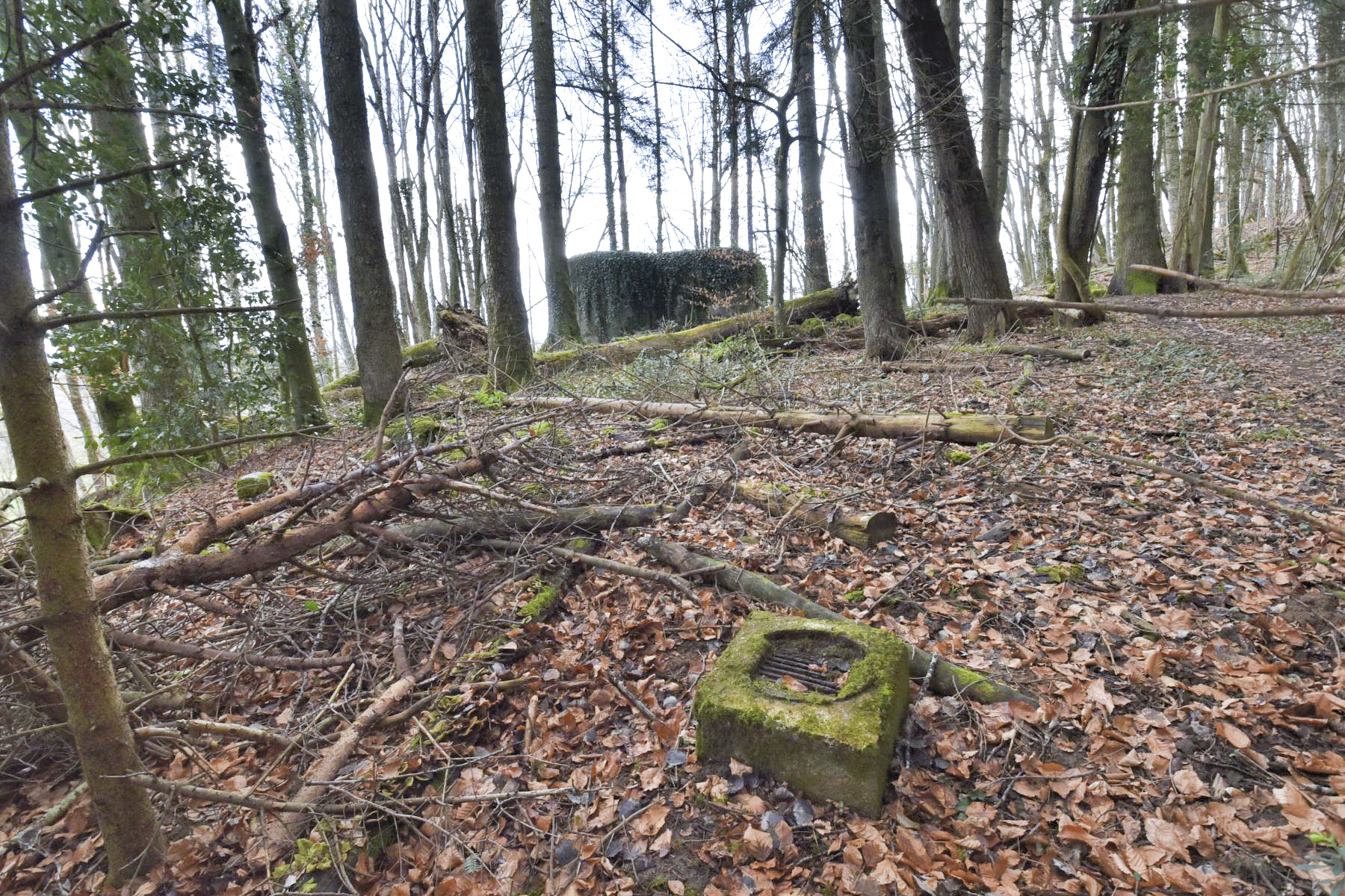 Ligne Maginot - BLOCHMONT EST - (Blockhaus pour arme infanterie) - Petit barbecue en béton - Ludovic KNAPP