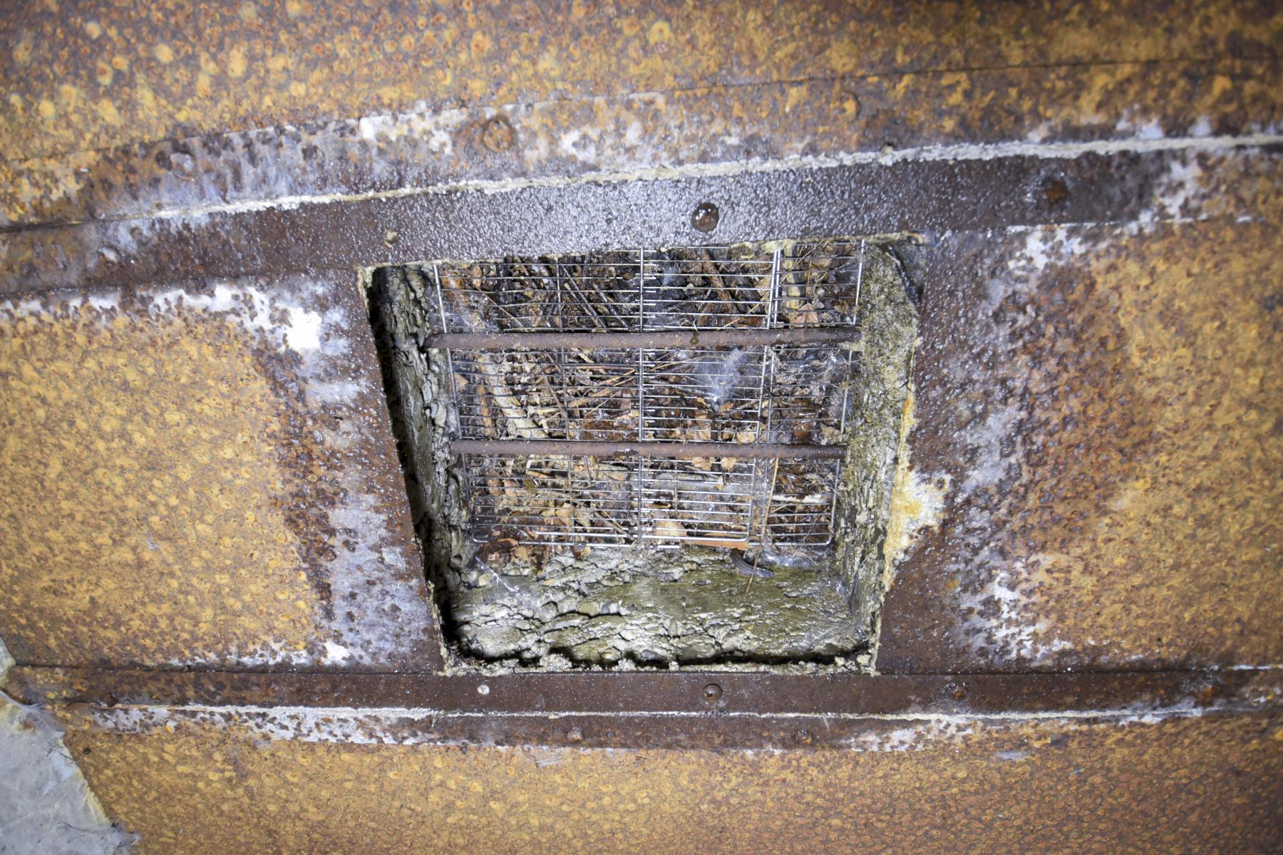 Ligne Maginot - GEBIRGMATTEN SUD - (Blockhaus pour arme infanterie) -  - Ludovic KNAPP