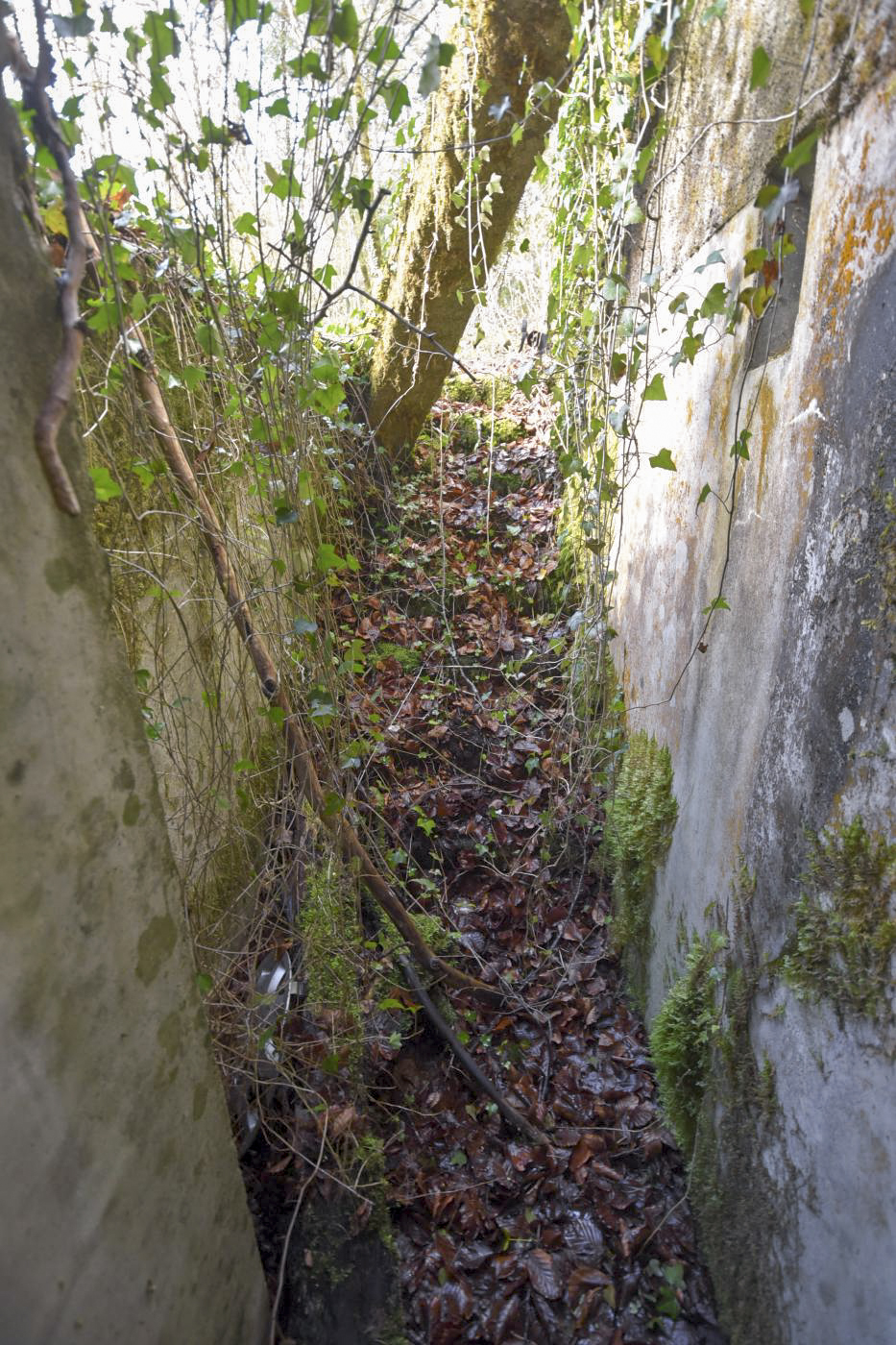 Ligne Maginot - GEBIRGMATTEN NORD - (Blockhaus pour arme infanterie) -  - Ludovic KNAPP