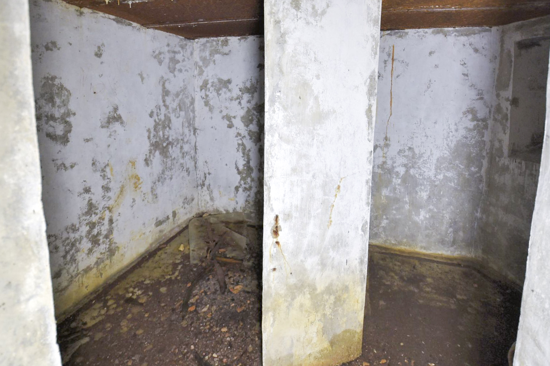 Ligne Maginot - GEBIRGMATTEN NORD - (Blockhaus pour arme infanterie) -  - Ludovic KNAPP