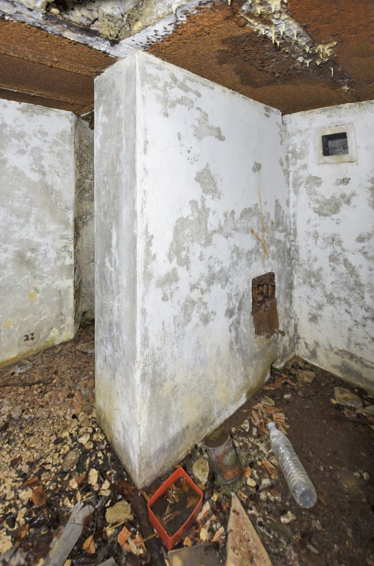 Ligne Maginot - GEBIRGMATTEN NORD - (Blockhaus pour arme infanterie) -  - Ludovic KNAPP