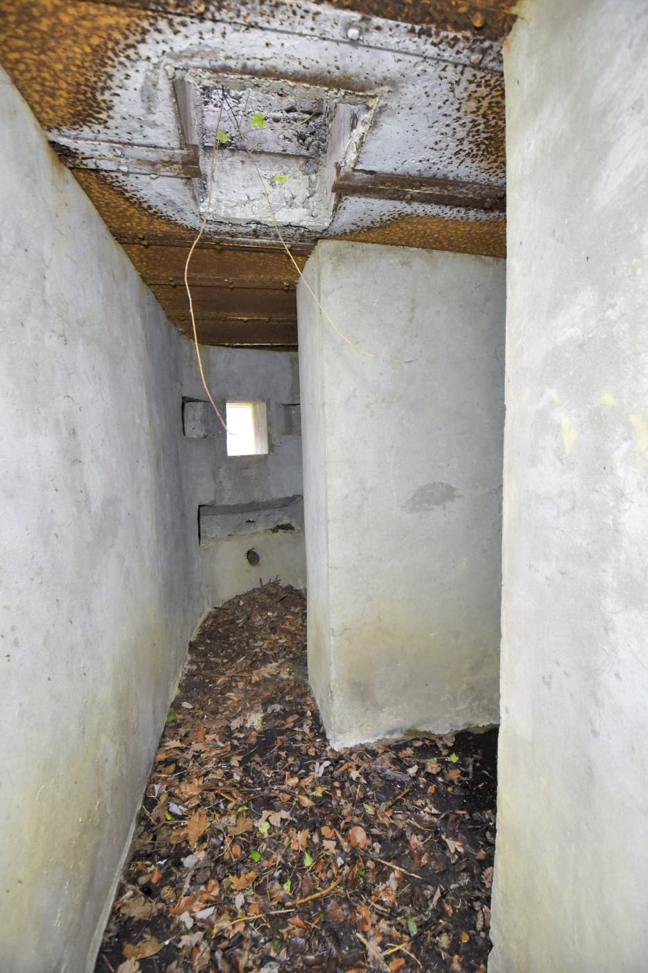 Ligne Maginot - HORNI-FERME - (Blockhaus pour arme infanterie) -  - Ludovic KNAPP