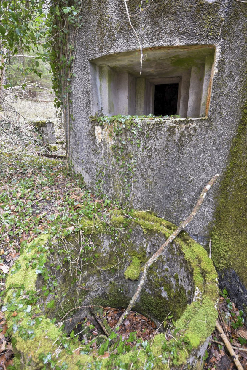 Ligne Maginot - HORNI-FERME - (Blockhaus pour arme infanterie) -  - Ludovic KNAPP