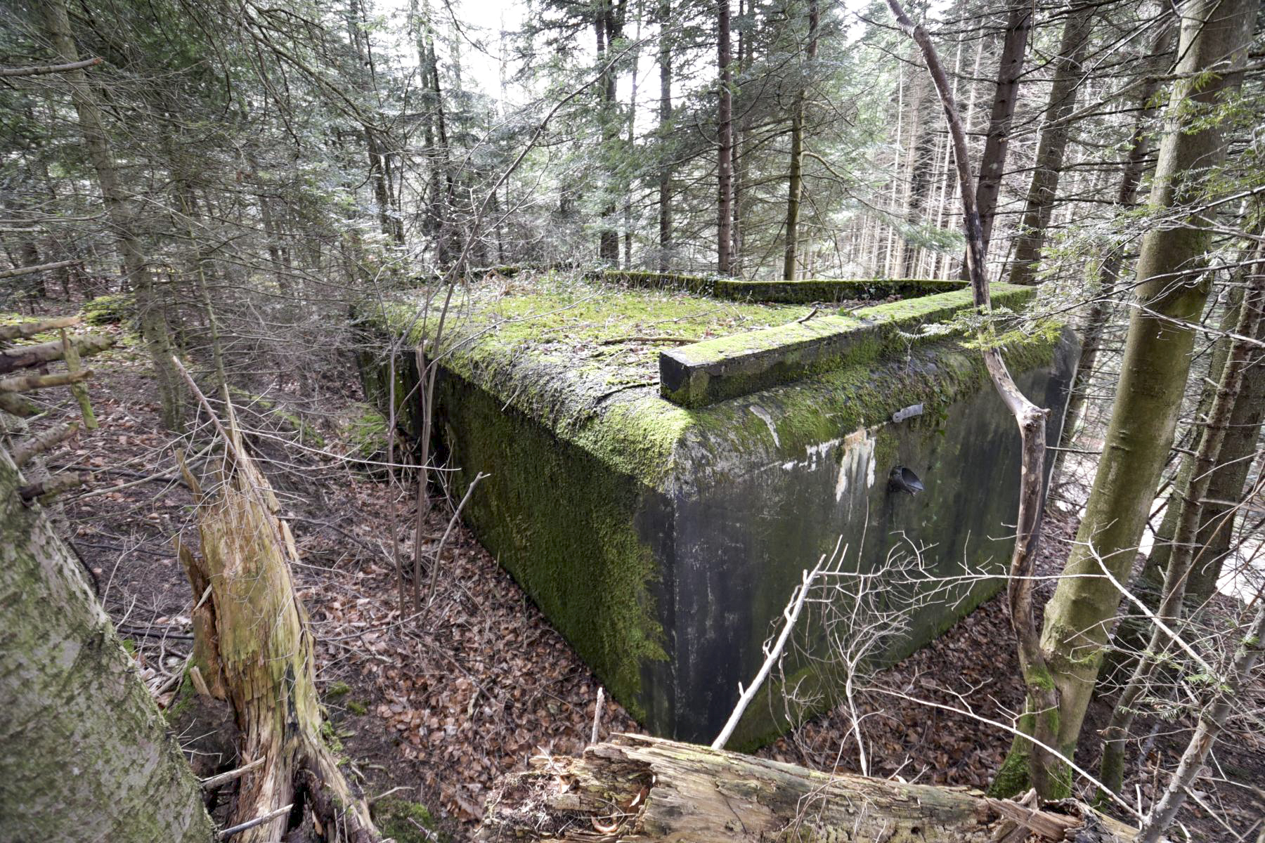 Ligne Maginot - STEINER (SOUS-QUARTIER EST) - (PC de Sous-Quartier) -  - Ludovic KNAPP