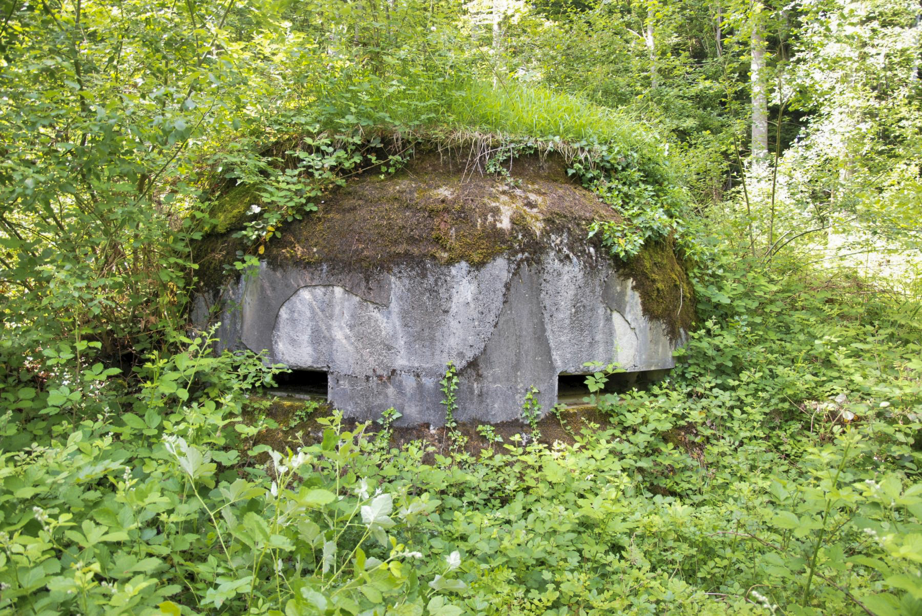 Ligne Maginot - COTE 811 - (Observatoire d'artillerie) -  - Ludovic KNAPP