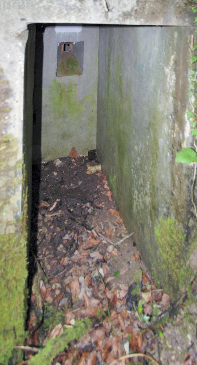 Ligne Maginot - COTE 811 - (Observatoire d'artillerie) - L'entrée - Ludovic KNAPP