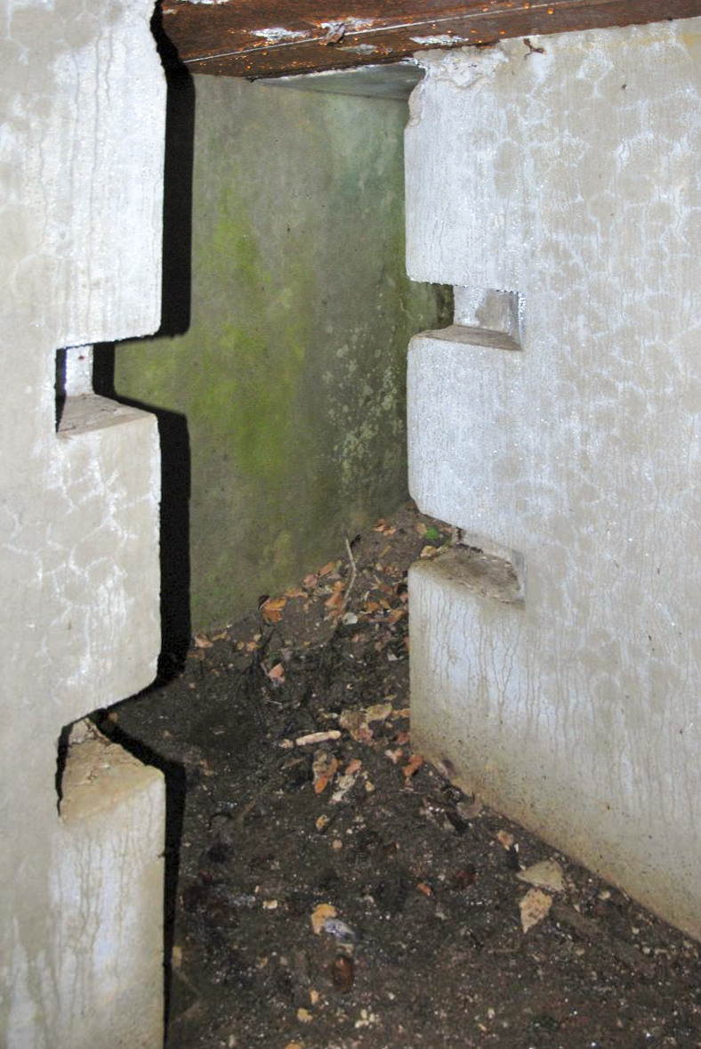 Ligne Maginot - COTE 811 - (Observatoire d'artillerie) -  - Ludovic KNAPP