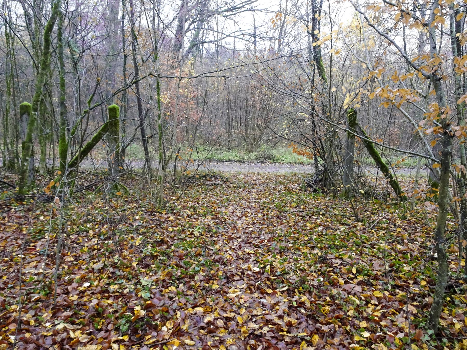 Ligne Maginot - BREHAIN - (Casernement) - Les restes du casernement - Marc Fossoul