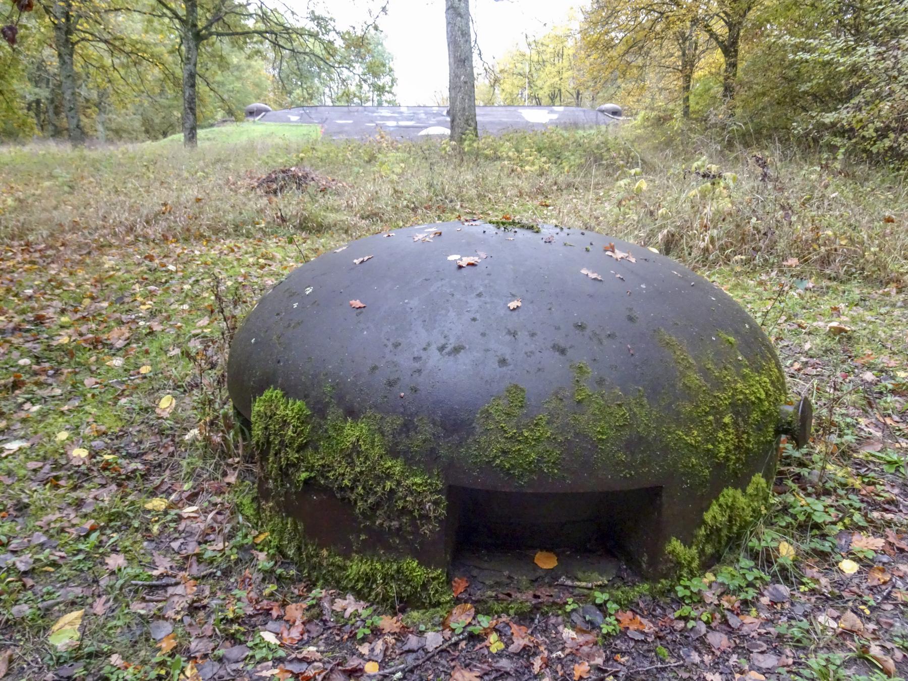 Ligne Maginot - BOIS KARRE - A12 - (Ouvrage d'infanterie) - Cloche factice en avant de l'ouvrage - Marc Fossoul