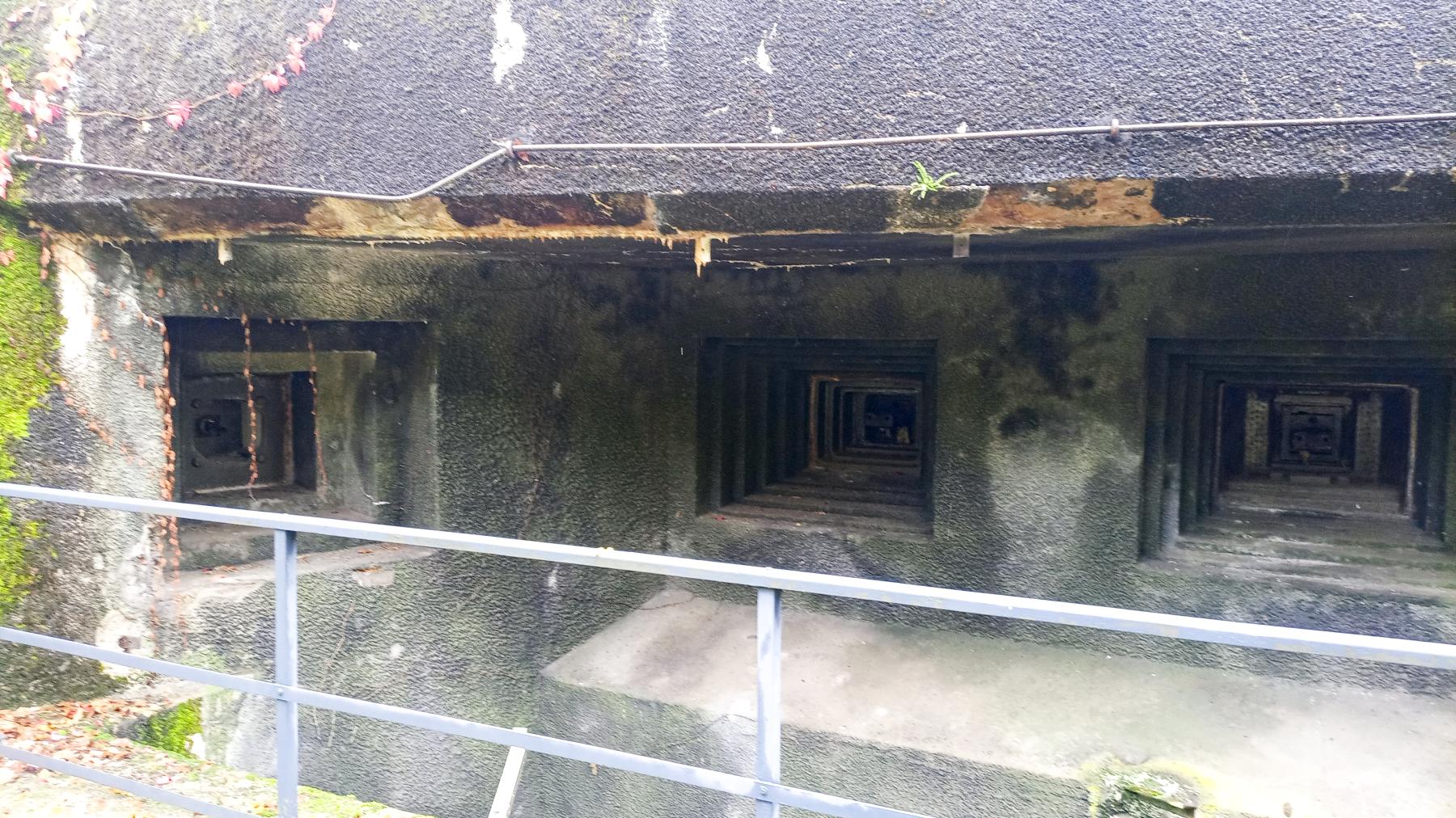 Ligne Maginot - BOIS KARRE - A12 - (Ouvrage d'infanterie) - Chambre de tir Ouest - Marc Fossoul