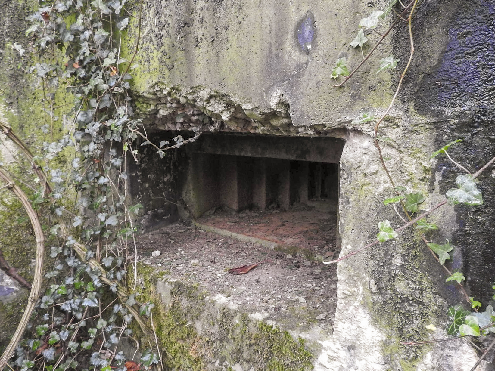 Ligne Maginot - ROUY 1 - (Blockhaus pour arme infanterie) - Le créneau pour mitrailleuse.
