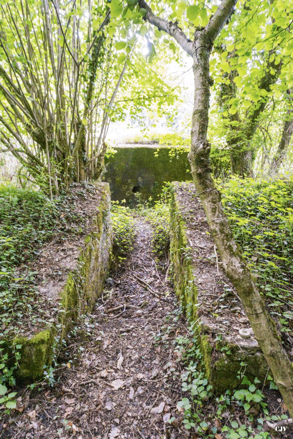 Ligne Maginot - ROUY 2 - (Blockhaus pour canon) - Tranchée vers l'entrée des hommes