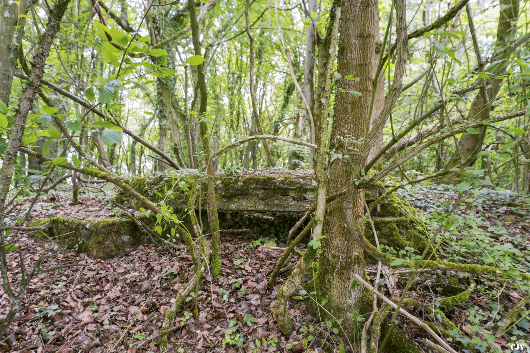 Ligne Maginot - ROUY 2BIS - (Blockhaus pour arme infanterie) -  - Lia VERMEULEN