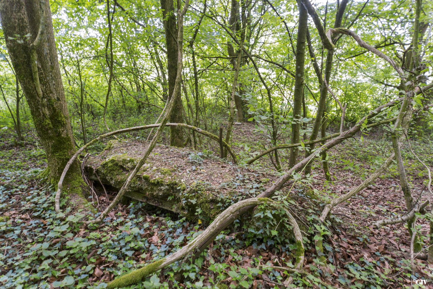 Ligne Maginot - ROUY 2BIS - (Blockhaus pour arme infanterie) -  - Lia VERMEULEN