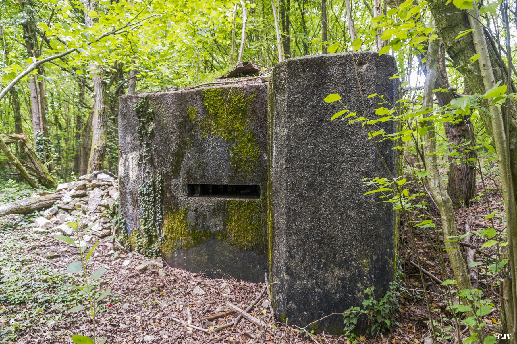 Ligne Maginot - ROUY 3 - (Blockhaus pour arme infanterie) -  - Lia VERMEULEN