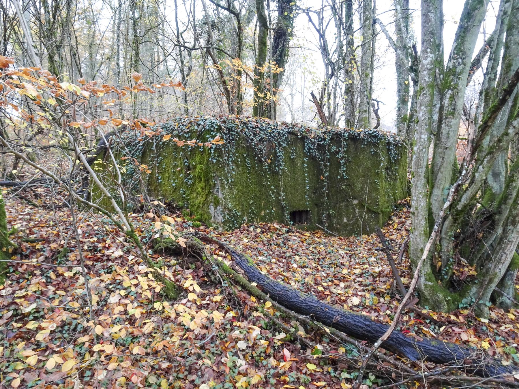 Ligne Maginot - CB335 - BOIS DE LA FANK - (Blockhaus pour arme infanterie) -  - Marc Fossoul