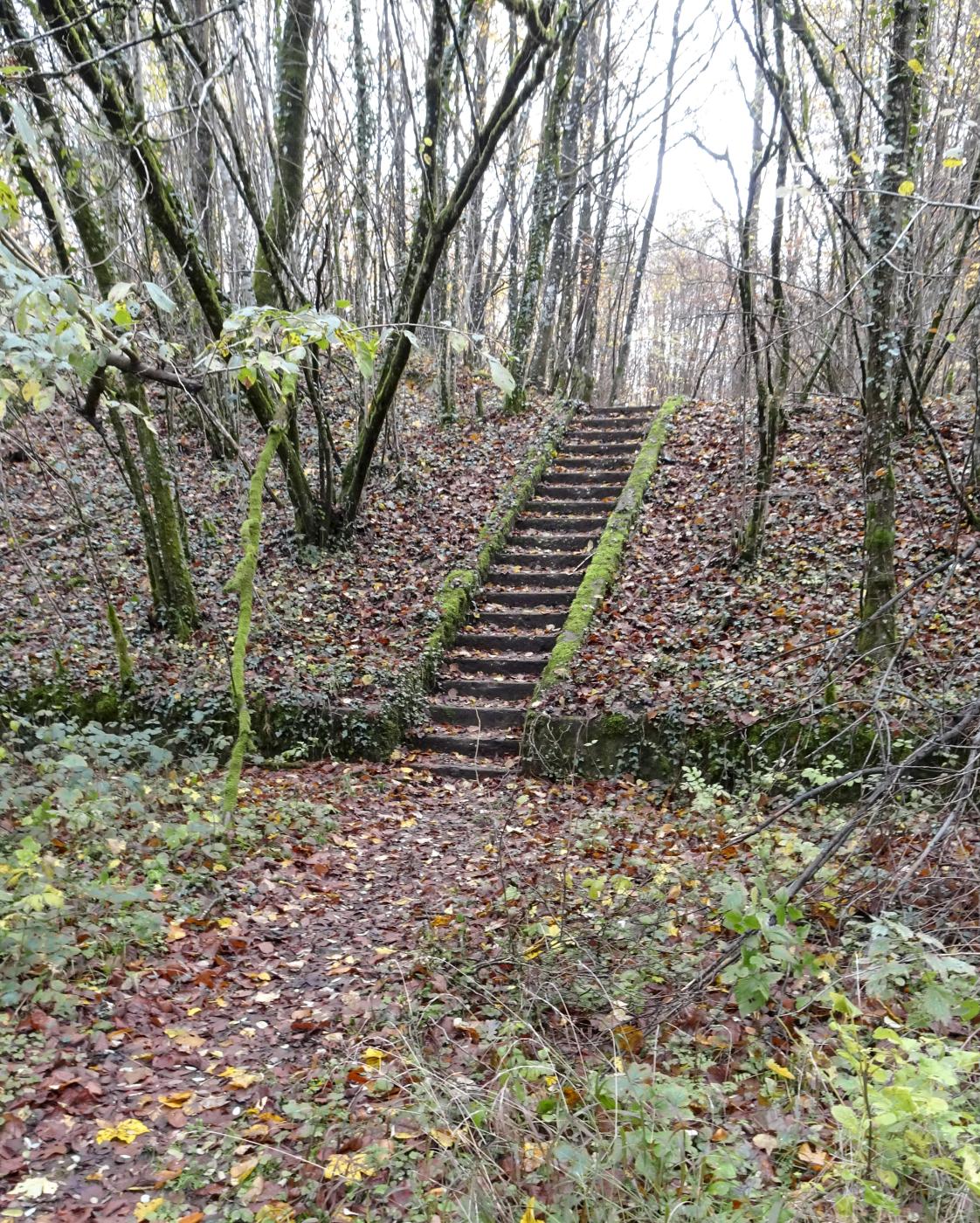 Ligne Maginot - MOLVANGE - A9 - (Ouvrage d'artillerie) - Escaliers qui mène de l'esplanade de l'EM vers l'EH - Marc Fossoul