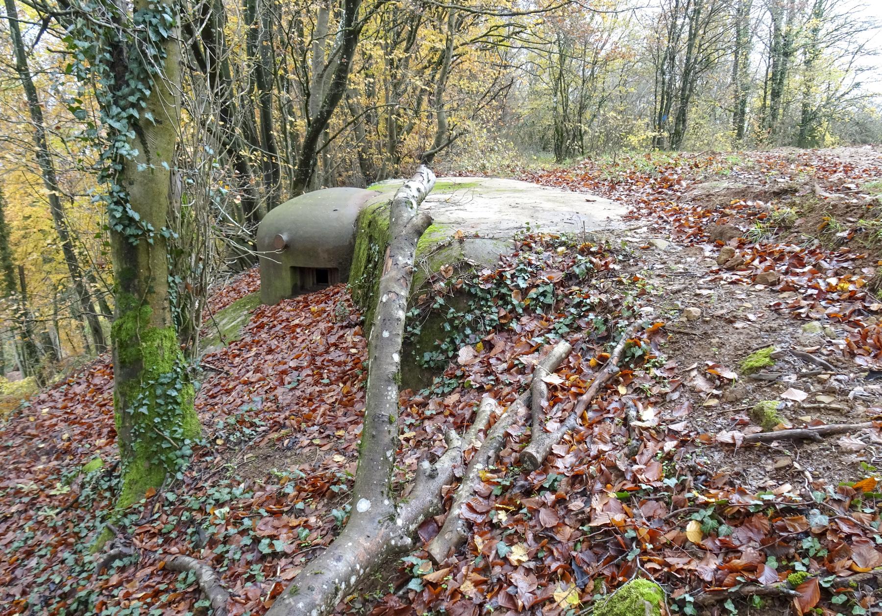 Ligne Maginot - MOLVANGE - A9 - (Ouvrage d'artillerie) - Bloc 2
L'une des deux cloches GFM surplombant la falaise - Marc Fossoul