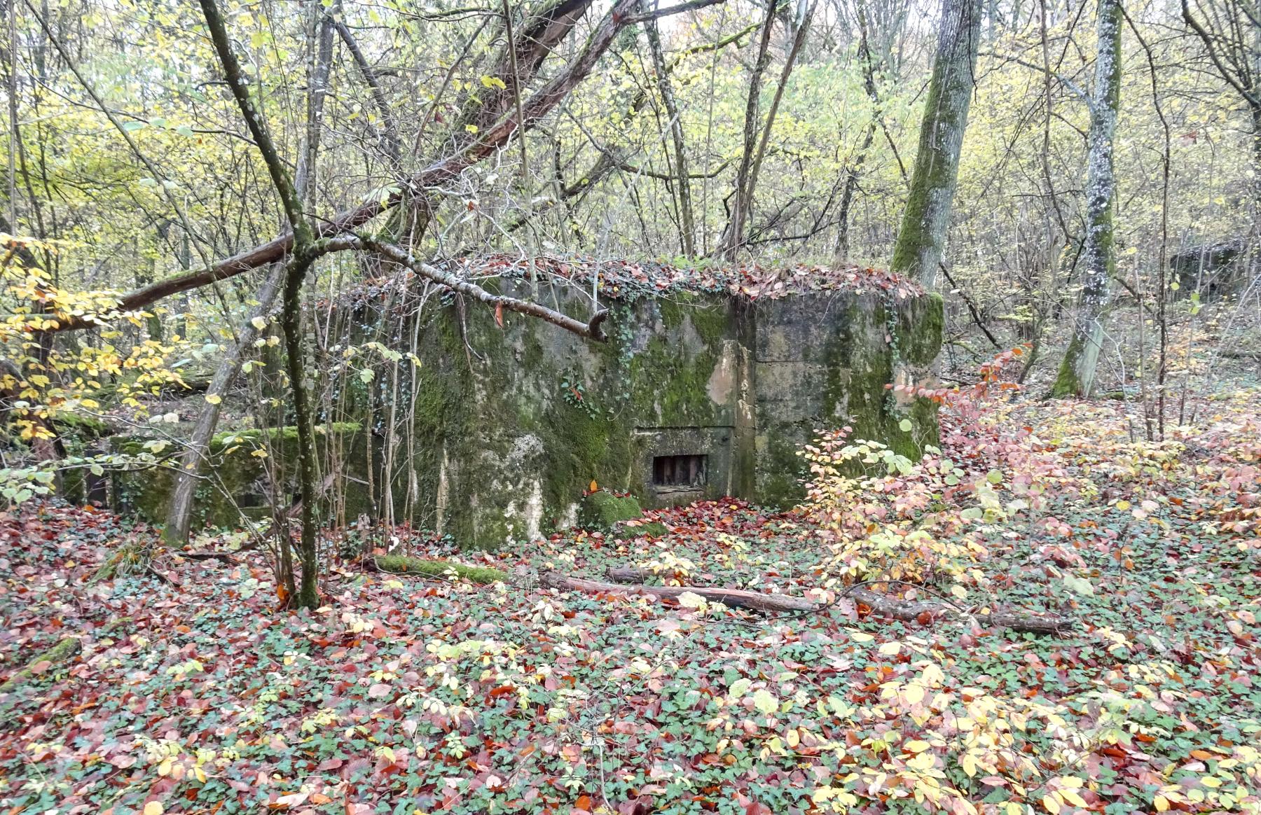 Ligne Maginot - CB280 - RETTELBOURG 2 - (Blockhaus pour arme infanterie) -  - Marc Fossoul
