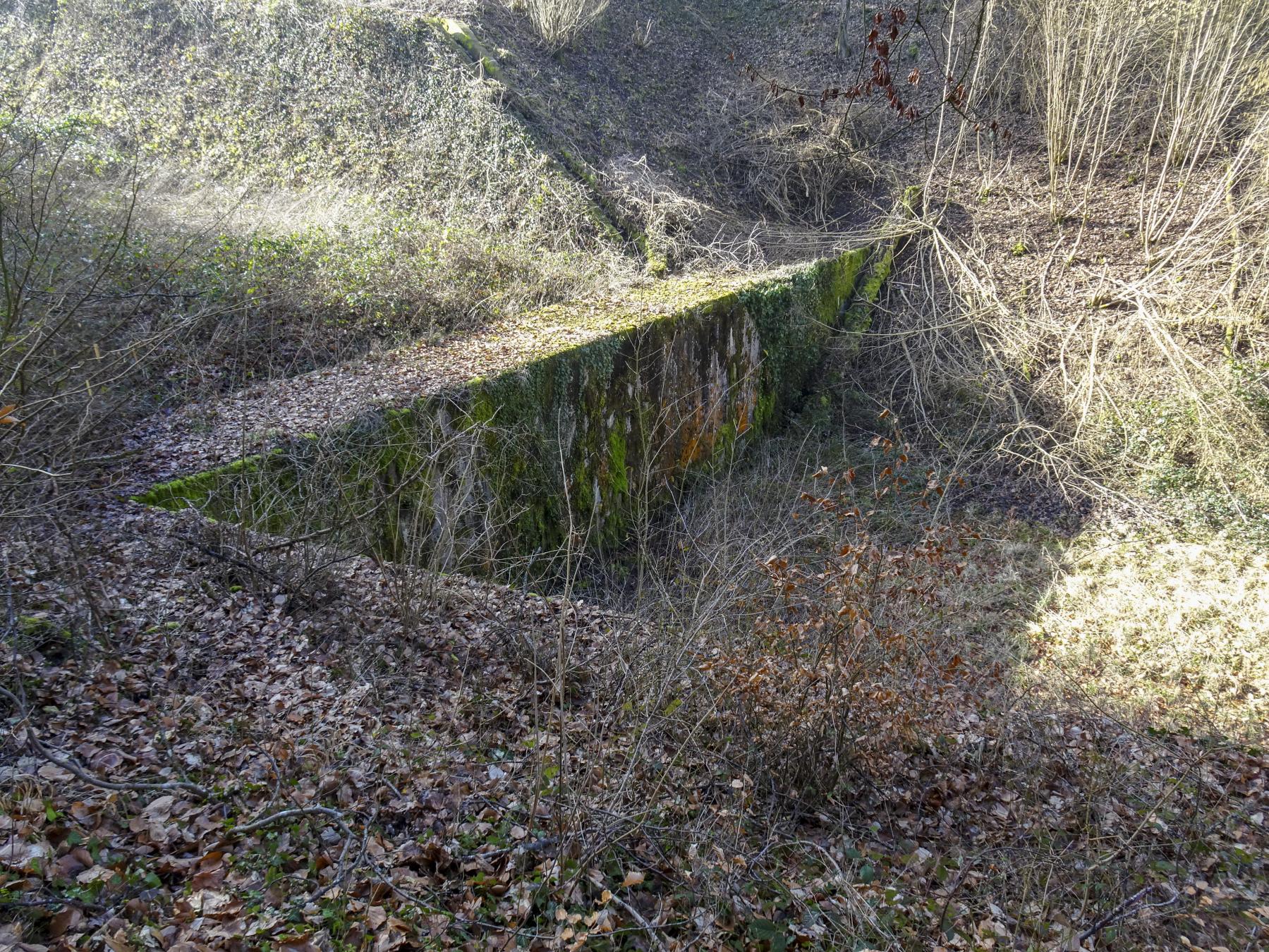 Ligne Maginot - HACKENBERG - A19 - (Ouvrage d'artillerie) - Le fossé anti-char entre bloc 24 et 25
Le mur qui fait un différence de hauteur - Marc Fossoul