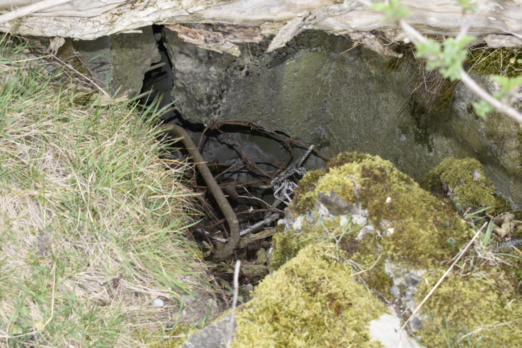 Ligne Maginot - HEITEREN EST 4 - (Blockhaus de type indéterminé) - Entrée - Daniel Froehly