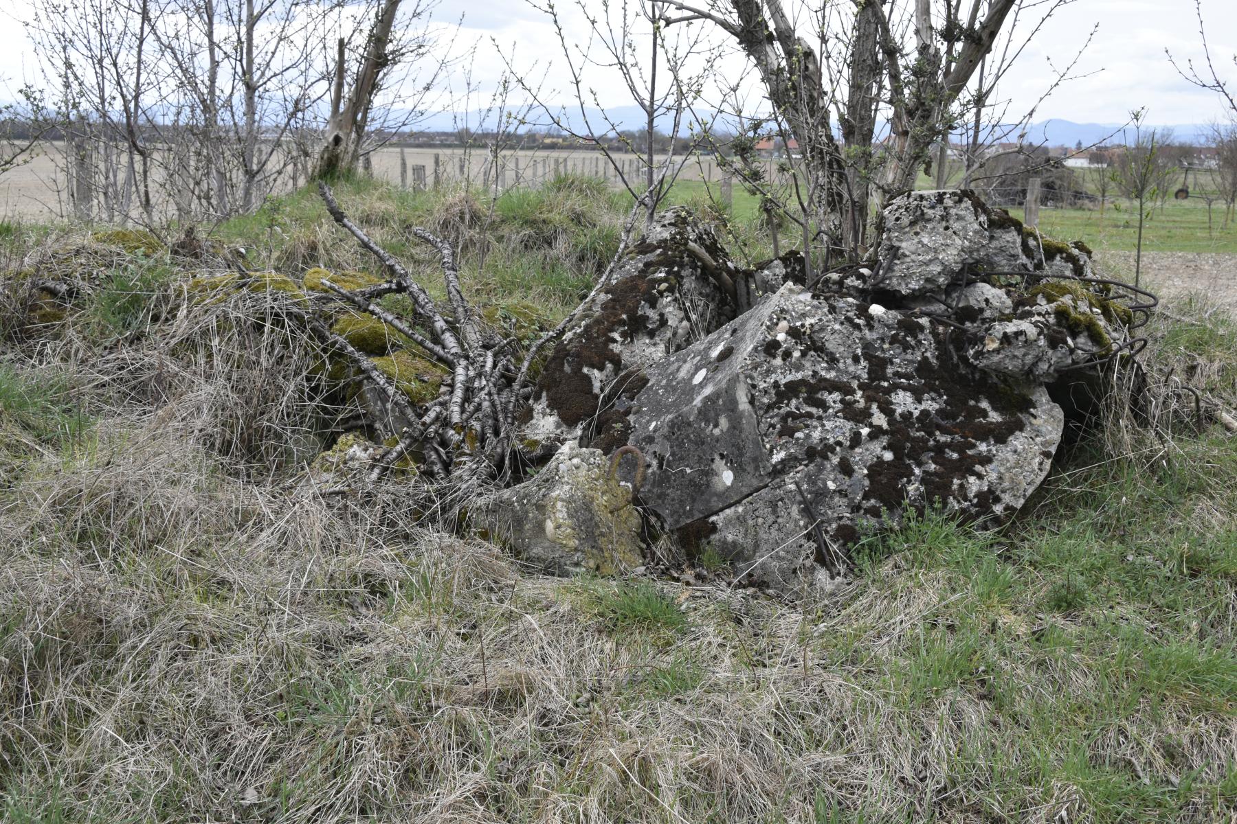 Ligne Maginot - HEITEREN EST 4 - (Blockhaus de type indéterminé) -  - Daniel Froehly