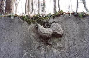 Ligne Maginot - STEINBESCH EST - (Abri) - 