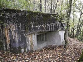 Ligne Maginot - WELSCHBRUCH SUD - (Blockhaus pour canon) - 