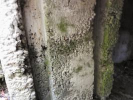 Ligne Maginot - WELSCHBRUCH SUD - (Blockhaus pour canon) - Le béton de mauvaise qualité
