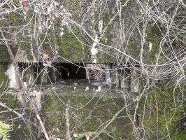 Ligne Maginot - BB355 - (Blockhaus pour canon) - Le créneau anti-char.
